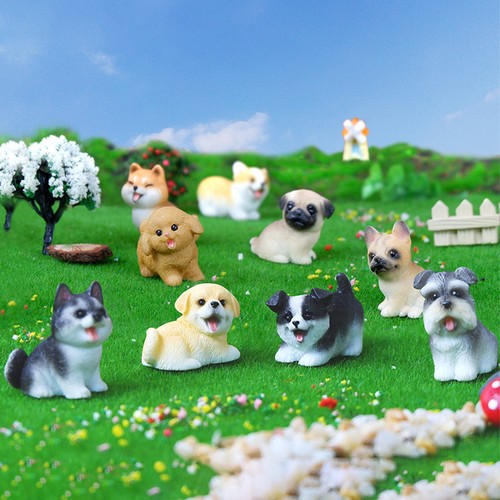 1pz dolci cani piccola - 1pz,