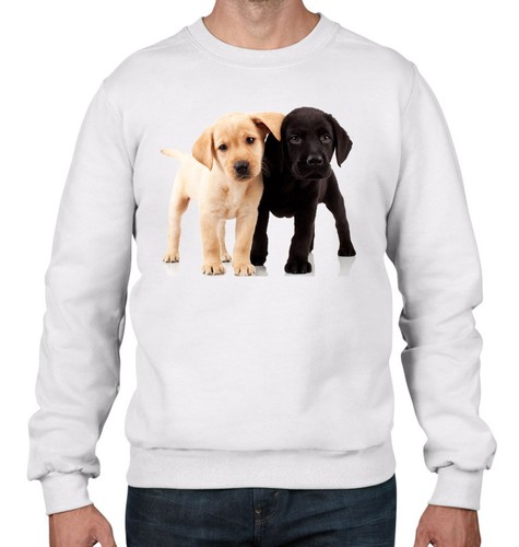 Labrador cuccioli uomo felpa - cuccioli,