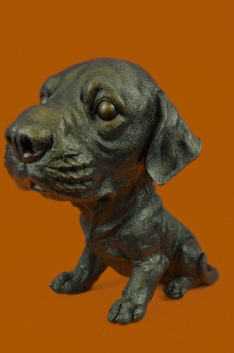 Colato reale bronzo cucciolo - bronzo,