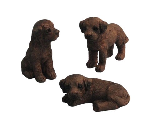 Cuccioli labrador cioccolato - labrador,