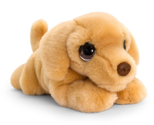 Peluche labrador retriever - peluche, 25