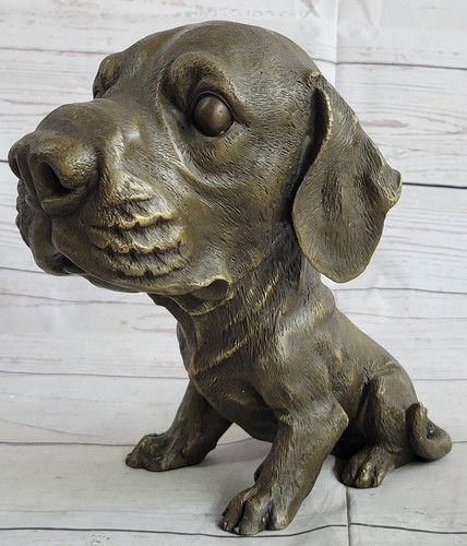 Adorabile labrador cucciolo - adorabile,