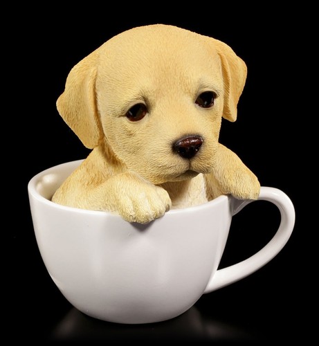 Cani figura labrador - figura,