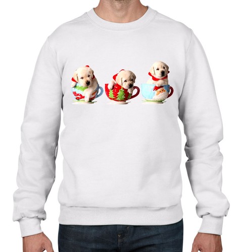 Natale labrador cuccioli - labrador, in