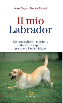 Mio labrador come - mio, labrador.