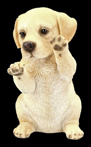 Cani figura labrador - cani,