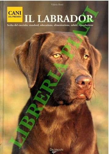 Rossi valeria il labrador - -,