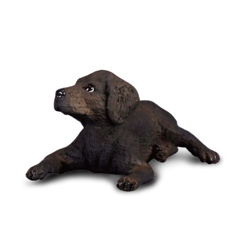 Collecta labrador retriever - labrador,