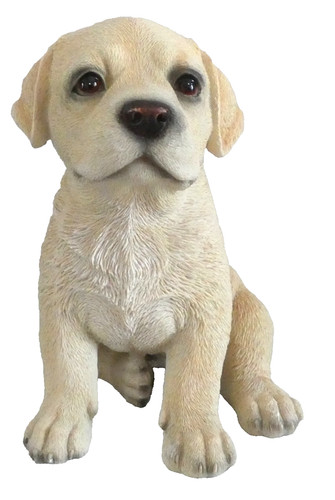 Yellow labrador puppy vivid - yellow,