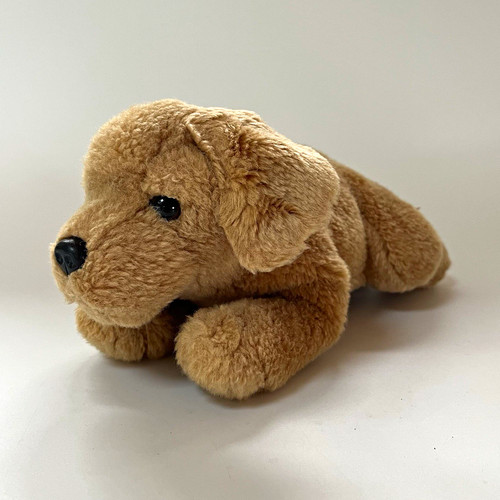 Chiglia giocattoli peluche - chiglia,