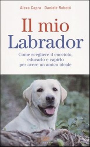 Mio labrador come - mio,