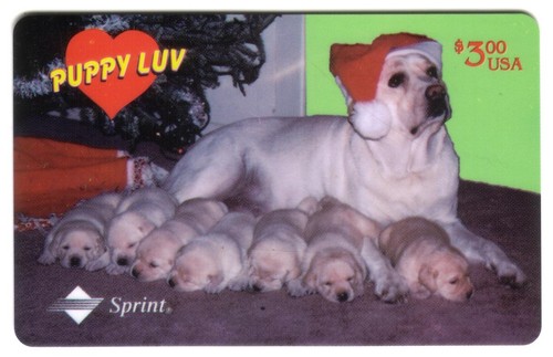 Cucciolo luv labrador - 3€,