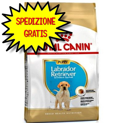 Royal canin cane labrador - royal,