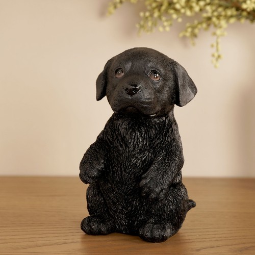 Best breed black - best,
