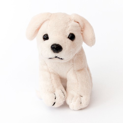 New labrador white - new, dog
