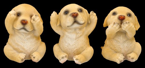 Labrador cani decorazione - decorazione, –