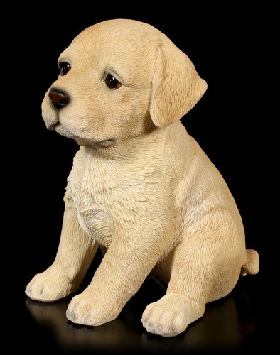 Cani cuccioli figura - figura,